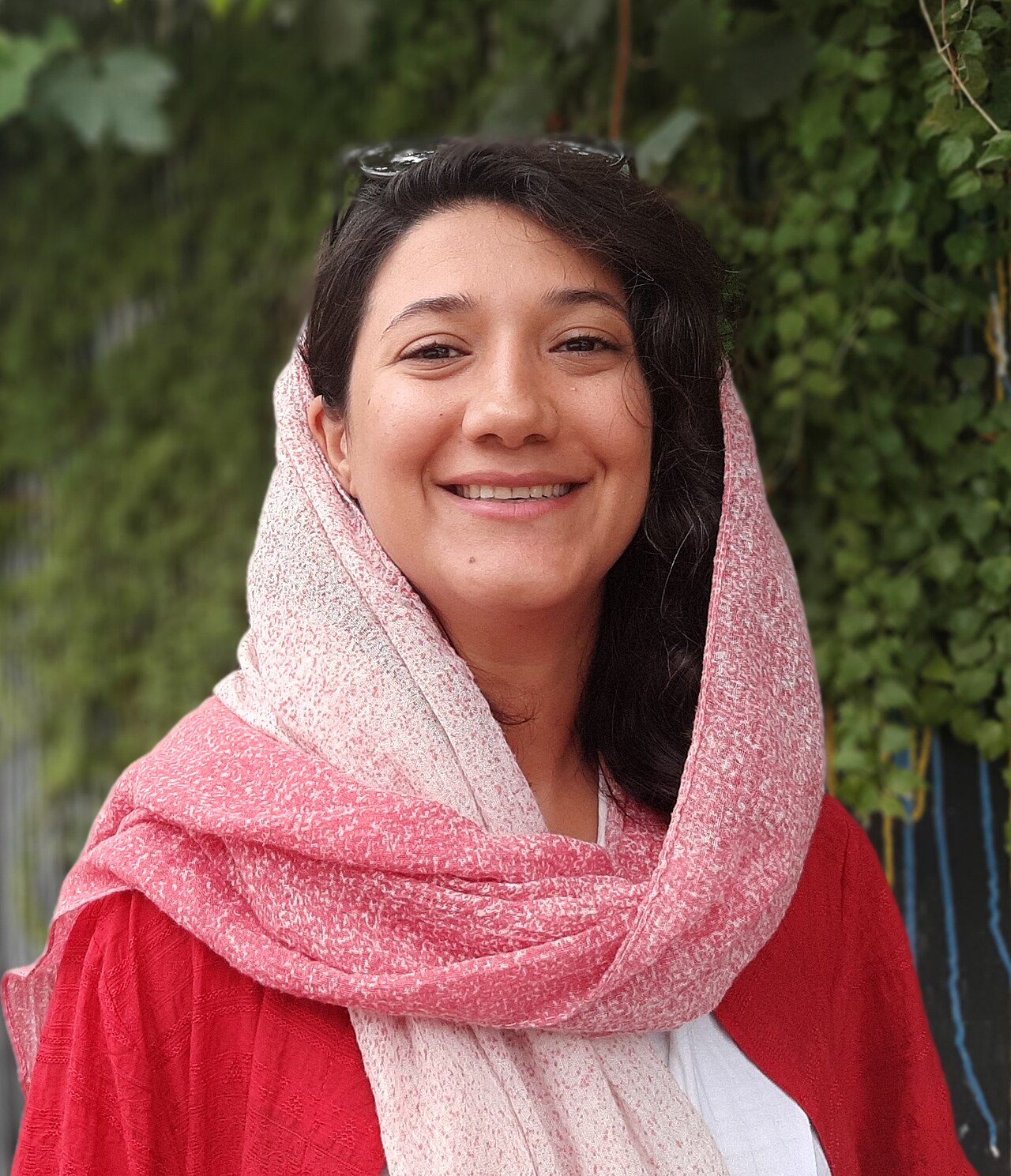 Niloofar Hamedi
