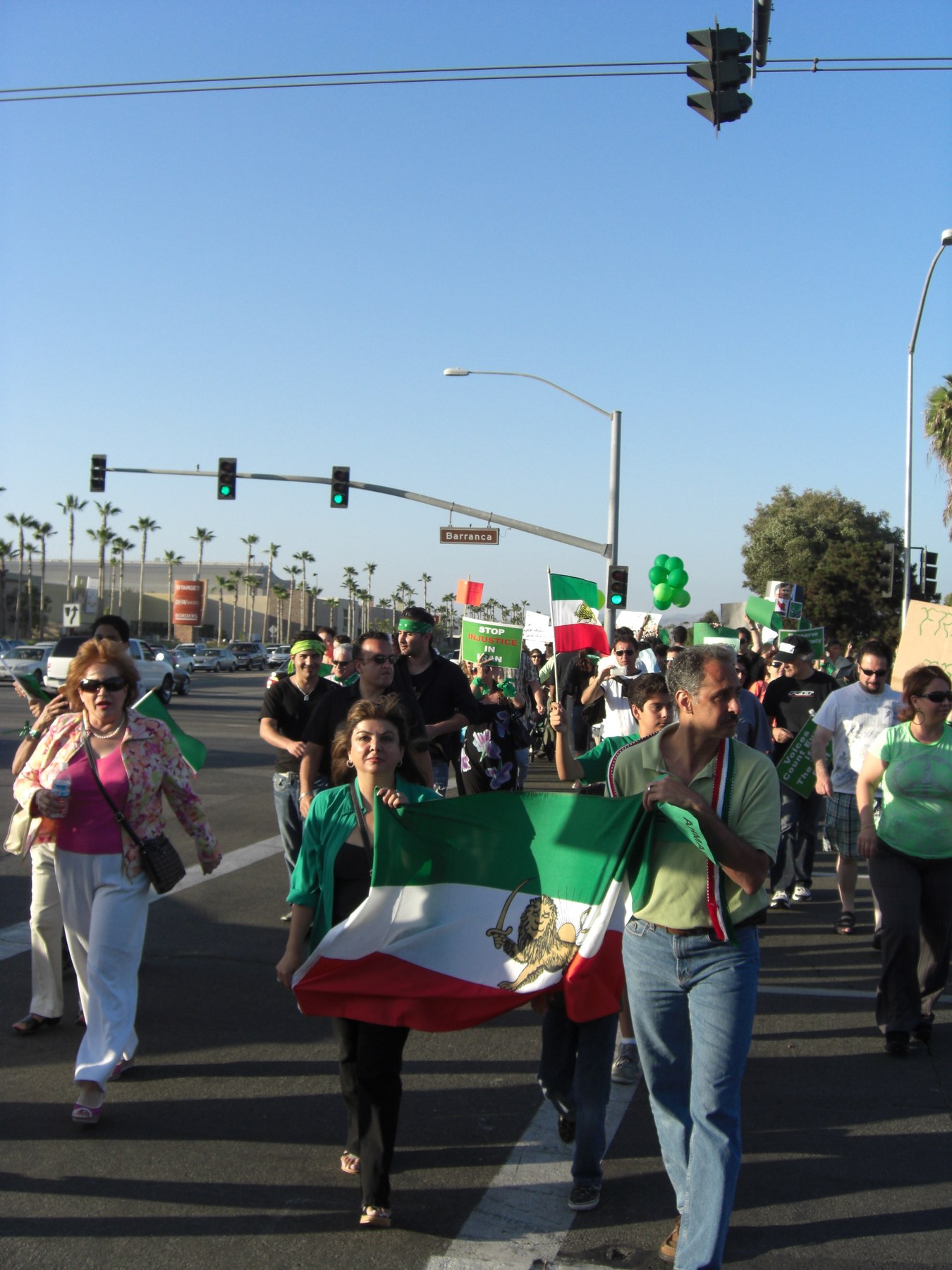 Lion-and-Sun flag carried at an Iranian Green Movement demonstration.